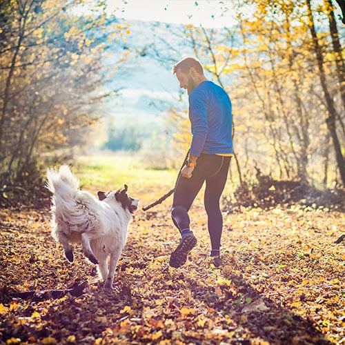 Parasite-Prevention-sec2–img2