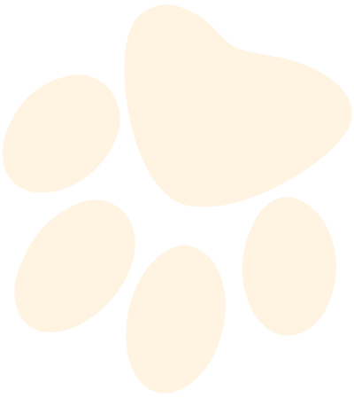 paw_bg2